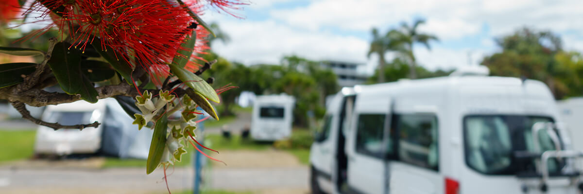 Summer Camper Van Power: Why Your Deep Cycle System Matters