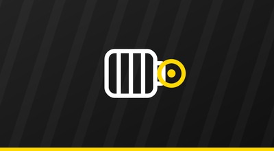 Alternator / Starter motor